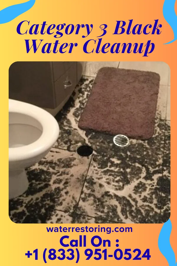 Category 3 Black Water Cleanup in Weston, MO