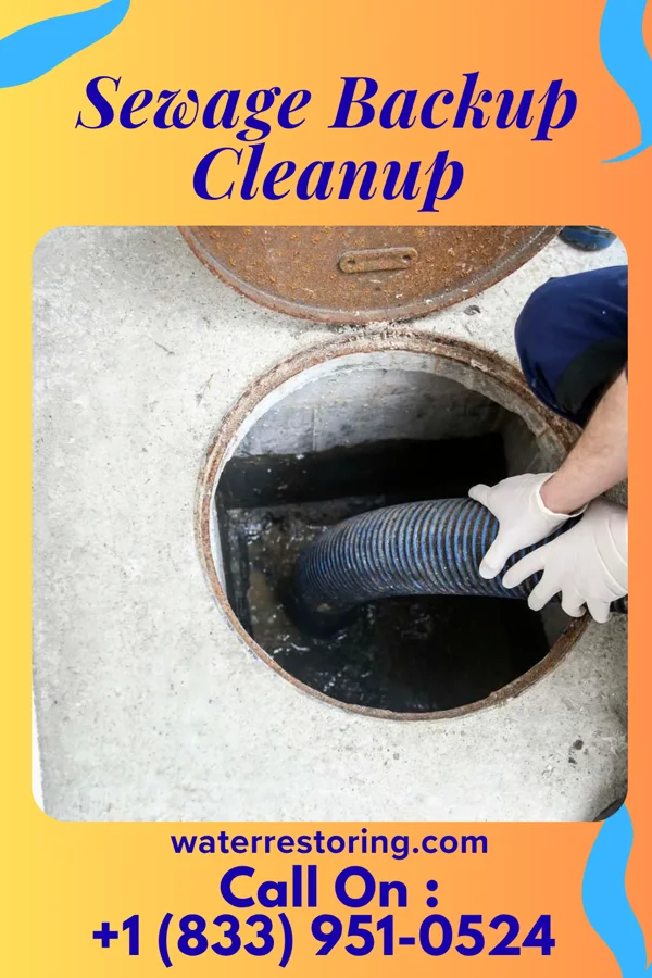 Sewage Backup Cleanup in Weston, MO